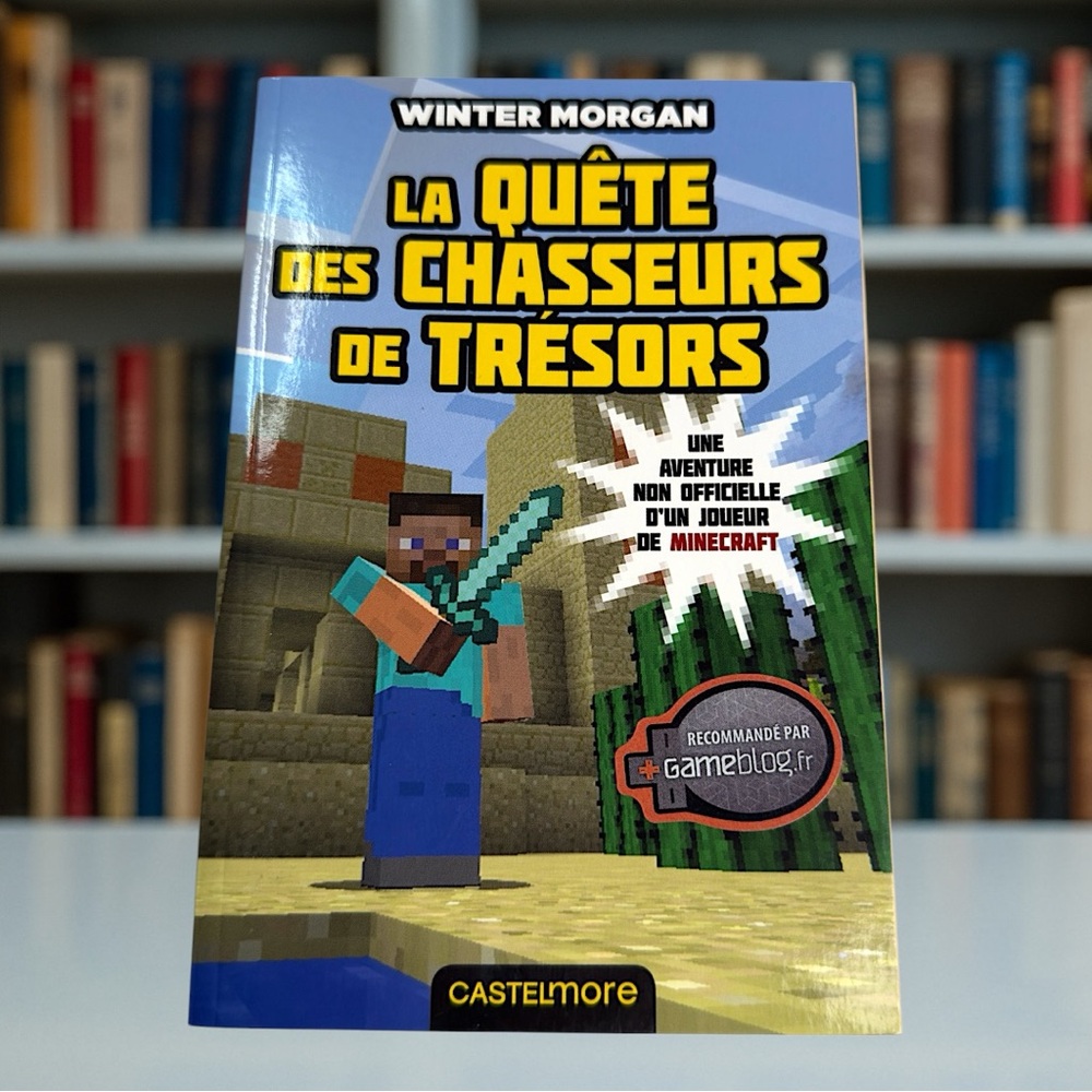 La quête des chasseurs de trésors